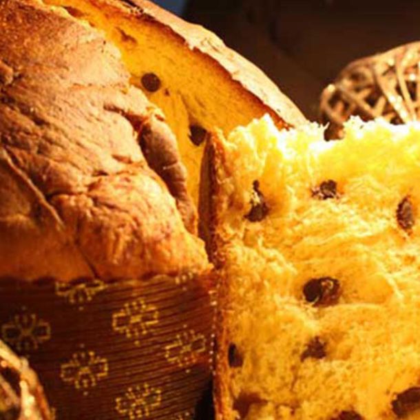 Panettone artigianale Dolci pasticcini biscotti artigianali della pasticceria sita a Pavia senza biologico